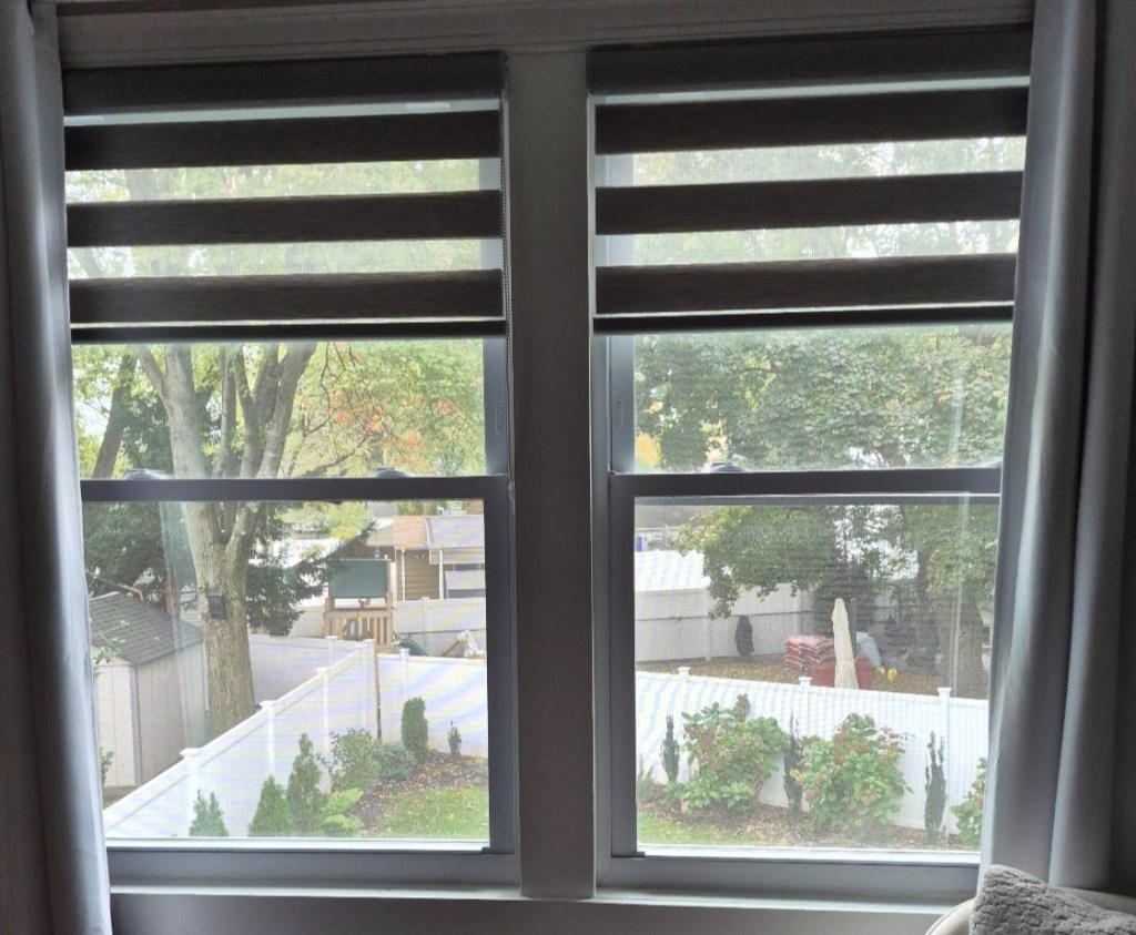 South-facing window looking out to bushes in a backyard.